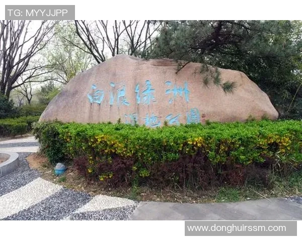 姚明与家人共享悠闲时光畅游公园感受自然之美 姚明与家人共享悠闲时光畅游公园感受自然之美