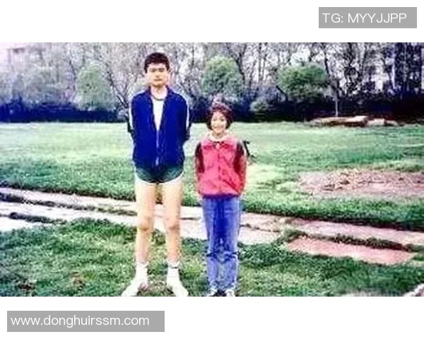 保定姚明峰的传奇人生与篮球梦想的追逐之路