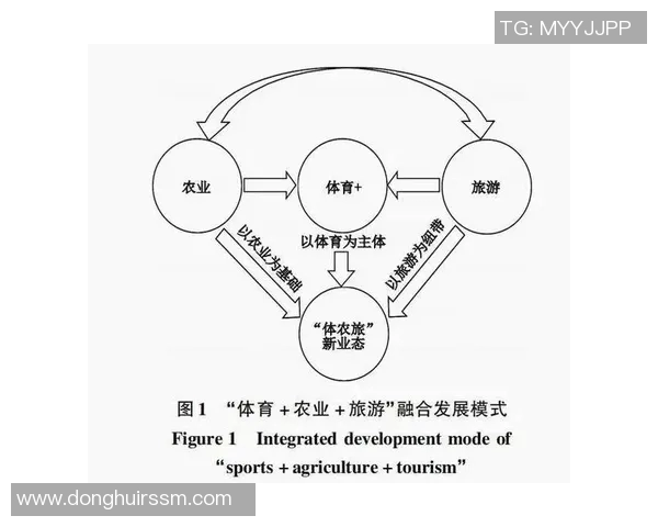 体育管理课程设置的创新与发展探讨及其对行业的影响分析